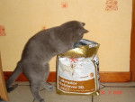 DJazz Chartreux - Chartreux