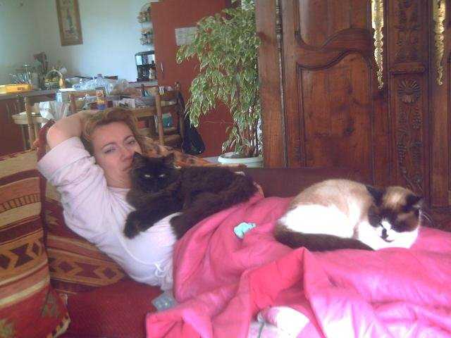 PERSAN - CLOTAIRE - Persan