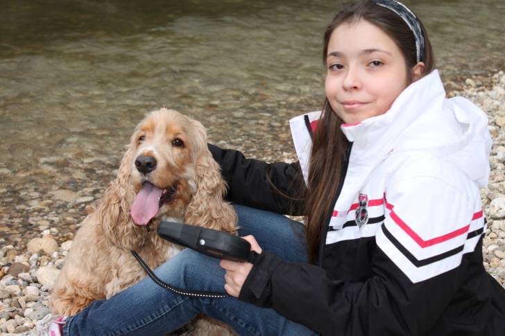 moi et filou - Cocker Anglais Mâle (5 ans)