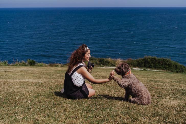 Photo Chien d'Eau Espagnol