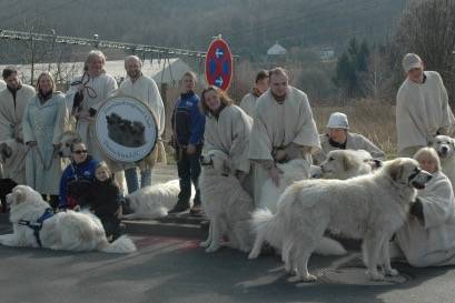 Verein - Chien de Montagne des Pyrénées