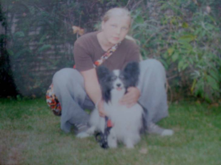 Sam et moi - Épagneul Nain Continental Papillon Mâle (5 ans)