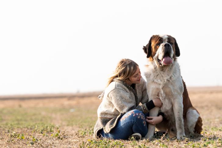 Un Saint-Bernard assis dehors avec sa propriétaire