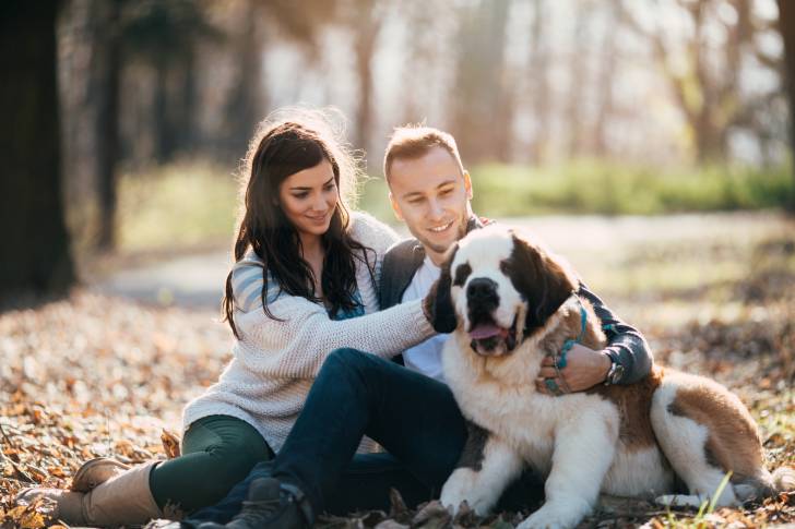 Un Saint-Bernard avec ses propriétaires