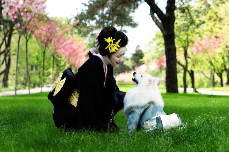 Un Spitz Japonais en séance photo avec une femme en tenue traditionnelle japonaise