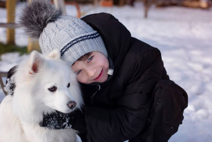 Un Spitz Japonais qui se fait câliner par un petit garçon