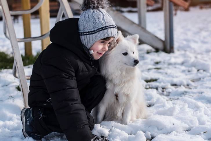 Un Spitz Japonais dans les bras d'un petit garçon en hiver