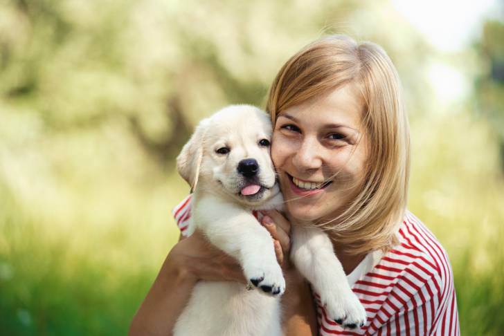 Un chiot Labrador Retriever dans les bras de sa maitresse 