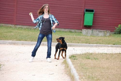 Texane, rottweiler - Rottweiler