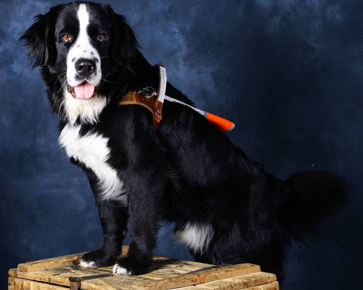Un Labernois pendant une séance photo