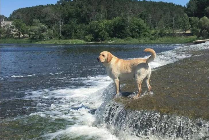 Un Labernois dans l'eau