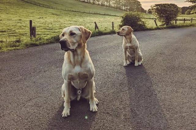 Deux Labernois assis sur un sol bétonné