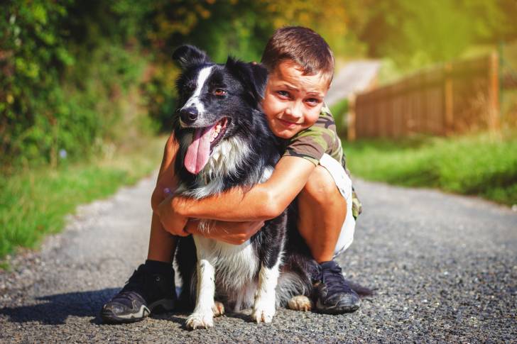 Un Border Collie enlacé par un petit garçon