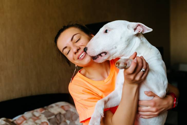Un Bull Terrier dans les bras de sa propriétaire 