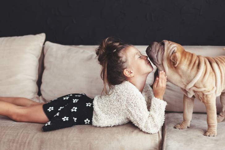 Un Shar-Peï en train de jouer avec une petite fille