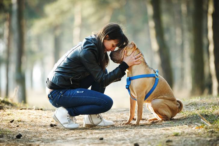 Une jeune femme fait un câlin à son Shar-Peï