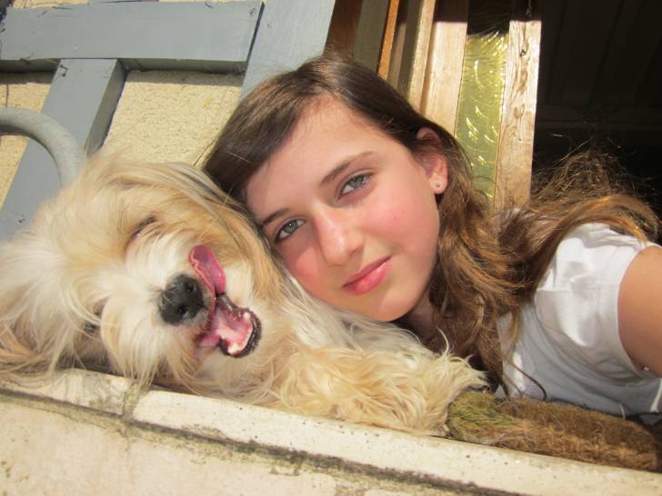 Swann et moi - Lhassa Apso (1 an)