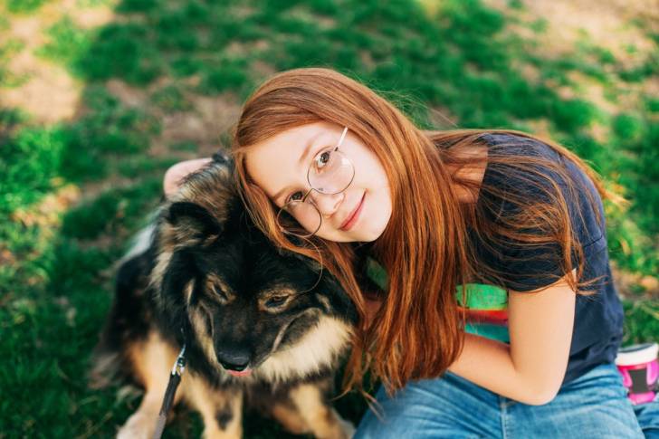 Photo Chien Finnois de Laponie