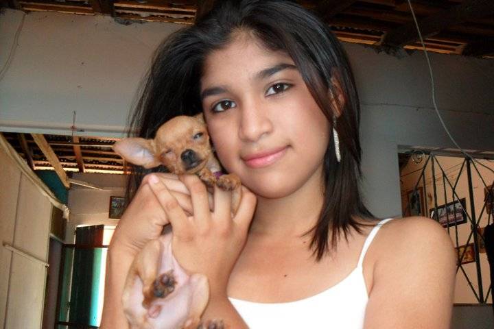gorda - Chihuahua (3 ans)