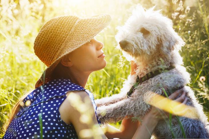 Photo Bedlington Terrier