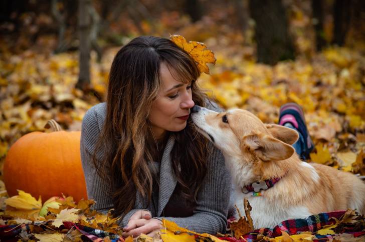 Photo Welsh Corgi Pembroke