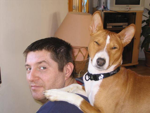 VICO - Basenji - Basenji
