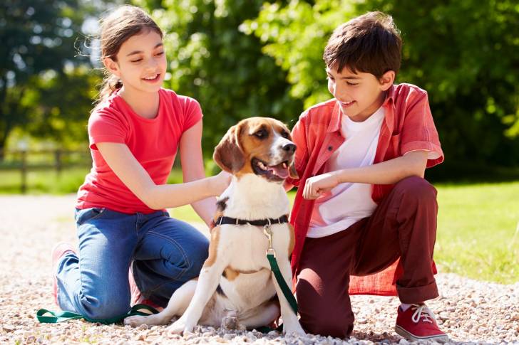 Un Beagle entouré par deux enfants