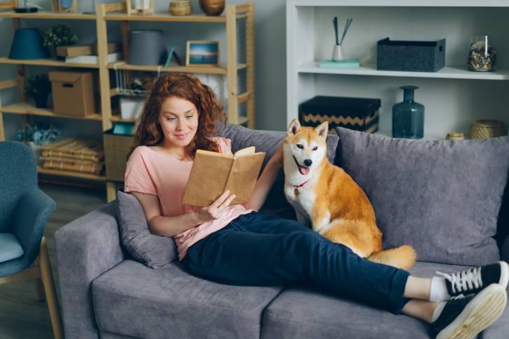 Un Shiba Inu assis sur un canapé à côté de sa propriétaire