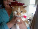 Frisky in her little hat - (15 ans)