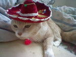 Peaches in her little hat - (15 ans)