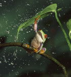 hola @%&$#"! - (6 mois)