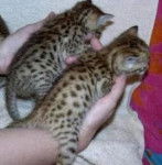 Jaden&Gaby - (2 mois)