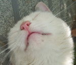 Branquinha - (8 ans)