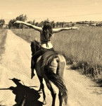 Diablo - Mâle (13 ans)