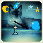 Pachat le sorcier - Mâle (1 an)