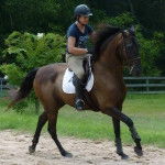 Wilber - Mâle (5 ans)