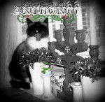 Rocky - Mâle (3 ans)