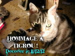 Hommage a Tigrou le chat d'une amie - Mâle (12 ans)