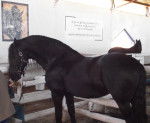 Storm - (4 ans)