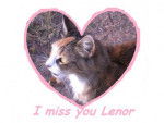 Lenor - (3 ans)