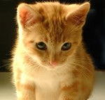 catalina - (11 mois)