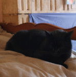 Blackquartz - (2 ans)