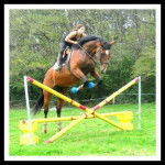 Noon Magic Gringa - (12 ans)