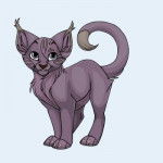 teckto - Mâle (2 ans)