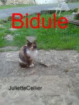 Bidule - (2 ans)