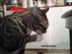Nina - (3 ans)