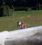 CH.Edwina de Prjevalski - Barzo&iuml; (5 ans)