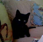 Chimi.love123:Mi hermosa chimi - (3 mois)