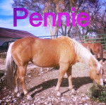 Pennie - (18 ans)