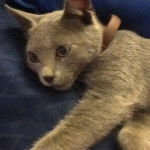 ??? Non ha ancora un nome - (5 mois)